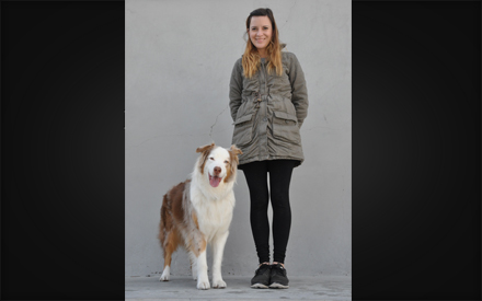 Red Merle Australian Shepherd - Knuckles